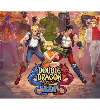 Double Dragon Gaiden: Rise Of The Dragons Switch Nintendo eShop Key EUROPE